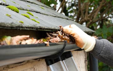 gutter cleaning Clarence Park, Somerset